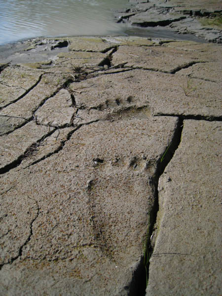 20070715-145650