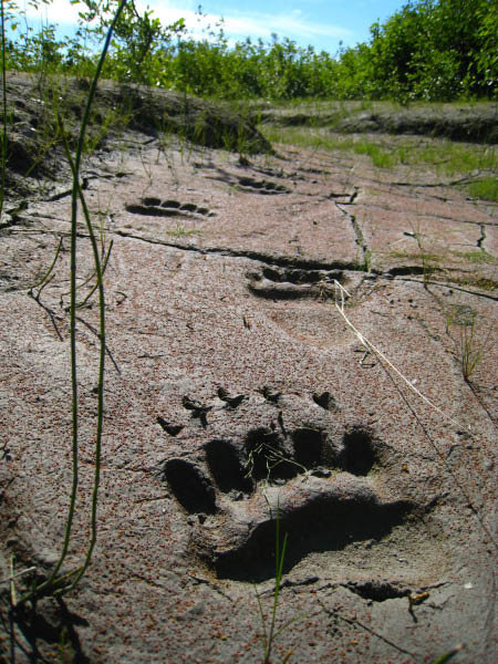 20070715-150207