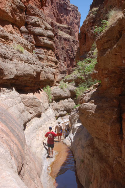 143 Saddle Canyon Narrows