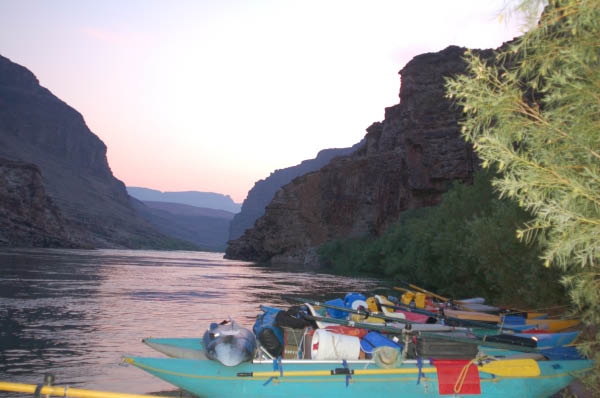 213 Neville Camp at dawn