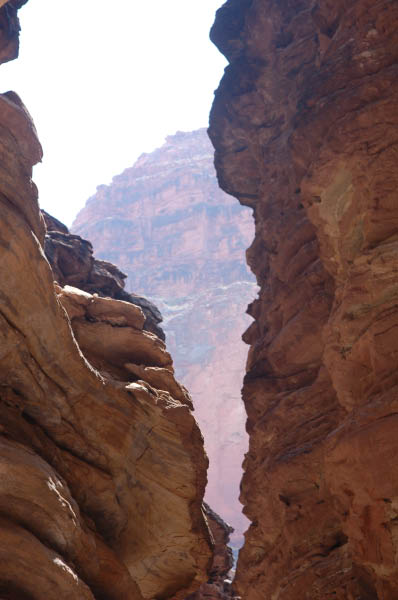 321 Looking up in Blacktail Canyon