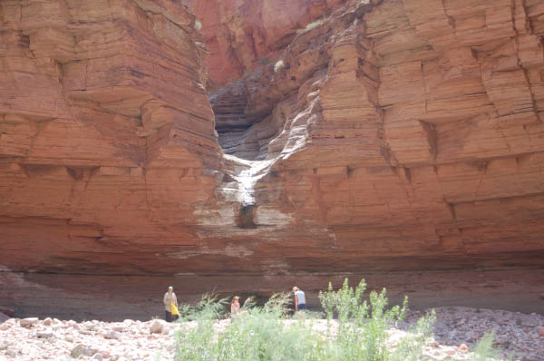 389 Olo Canyon pourover