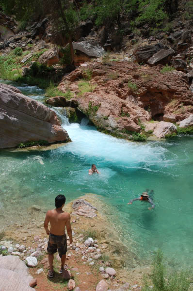 457 Nice pool
