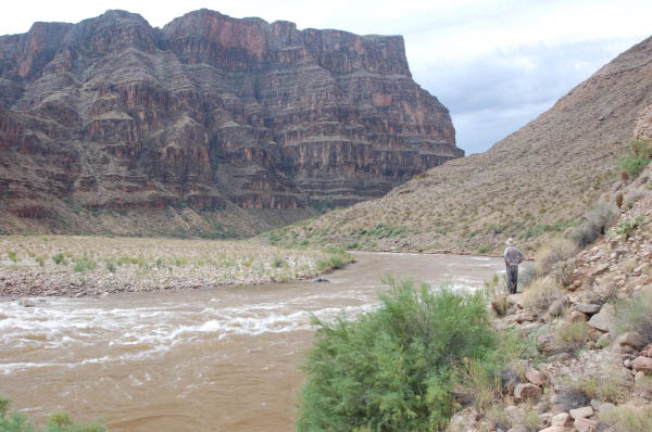 593 Pete scouting 209 mile rapid