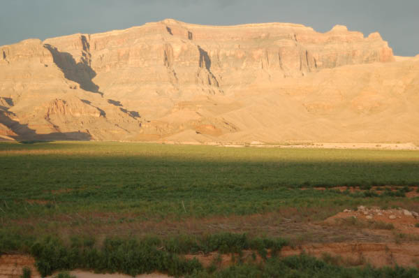 666 More acres of tamarisk
