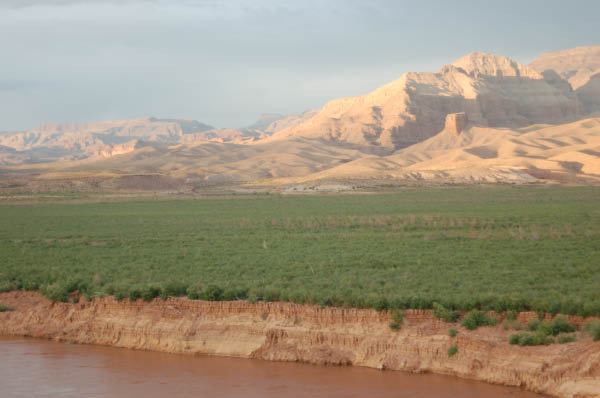 668 Looking north over Mead deposits