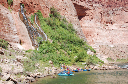 092 Vasey's Paradise2