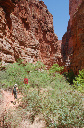 145 Saddle Canyon