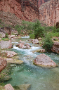 430 Havasu Cr