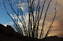 585 Ocotillo, Indian Canyon