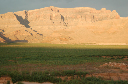 666 More acres of tamarisk