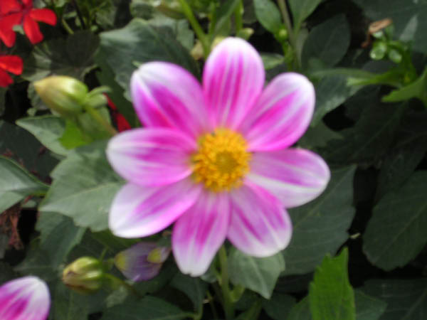 DSCN1161