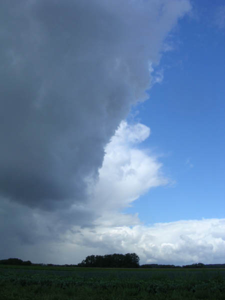 DSCN1208