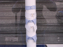 DSCN1131