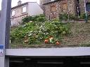 DSCN1164