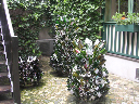 DSCN1201