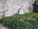 DSCN1206