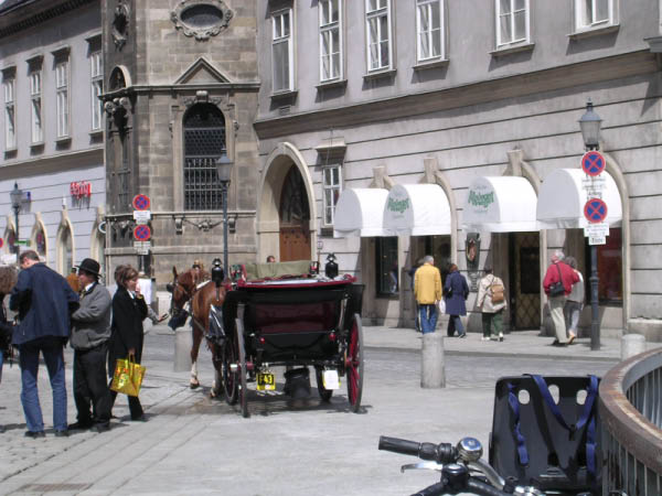 DSCN1084