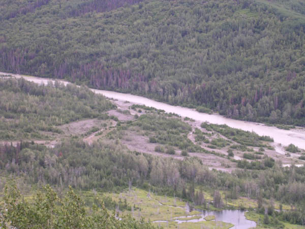 DSCN0212