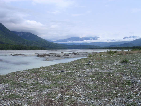 DSCN0237