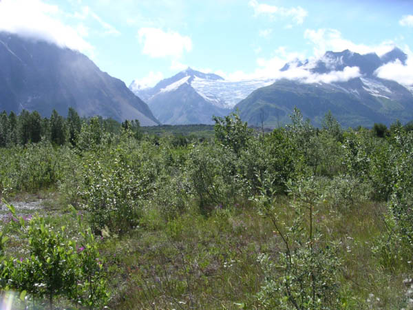 DSCN0255