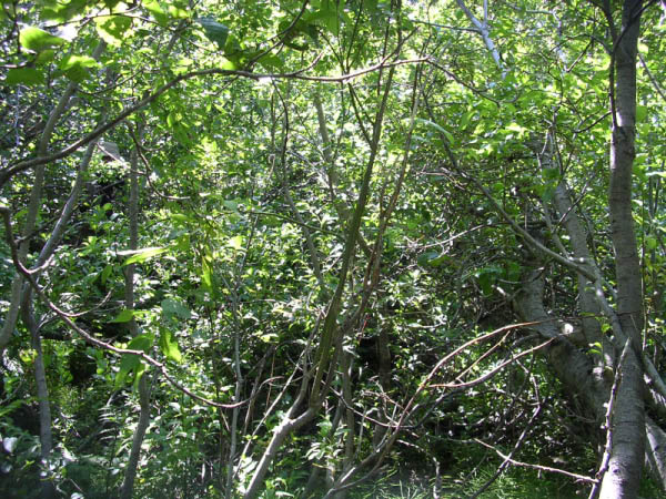 DSCN0261