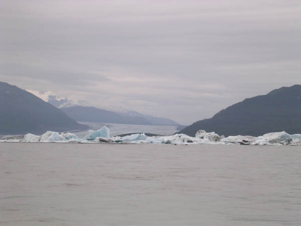 DSCN0302