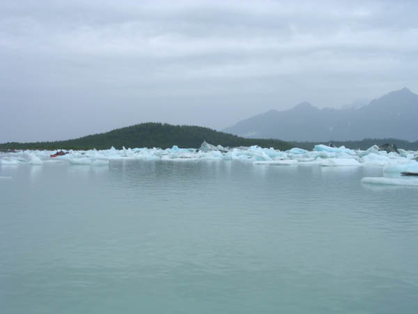 DSCN0304
