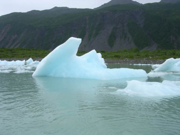 DSCN0307