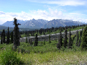 DSCN0188