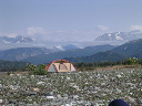 DSCN0241