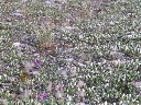 DSCN0244