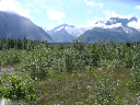 DSCN0255