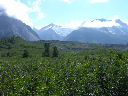 DSCN0258