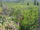 DSCN0259