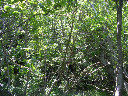 DSCN0261