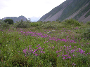 DSCN0288