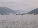 DSCN0293