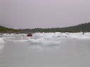 DSCN0305