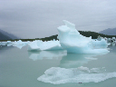 DSCN0308