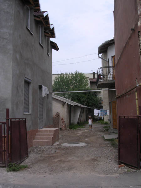 DSCN0952