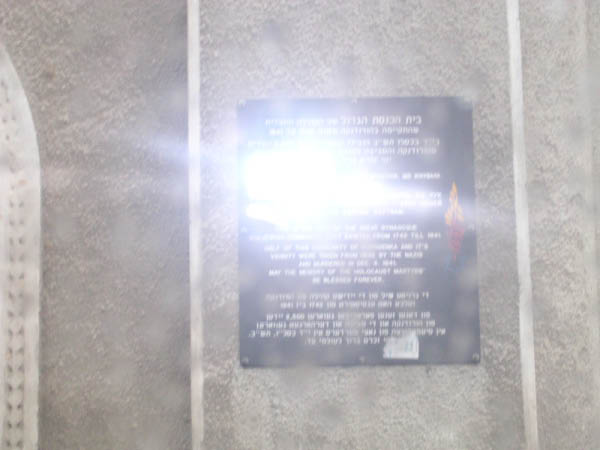 DSCN0978