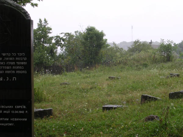 DSCN0995