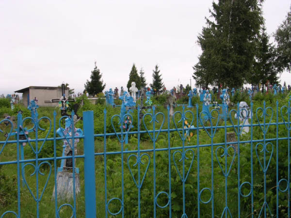 DSCN1016