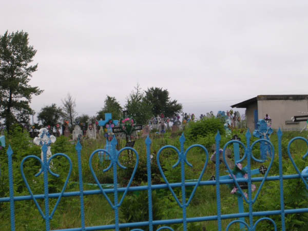 DSCN1017