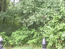 DSCN0932