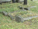 DSCN0993