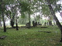 DSCN0996