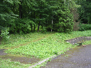 DSCN1007