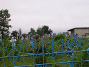 DSCN1017